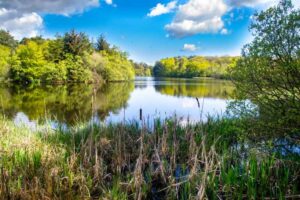 Rothley Lakes, Northumberland