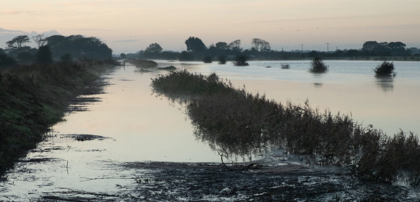 Fens and Rivers in Lincolnshire