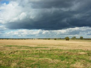 Tour of the Fens